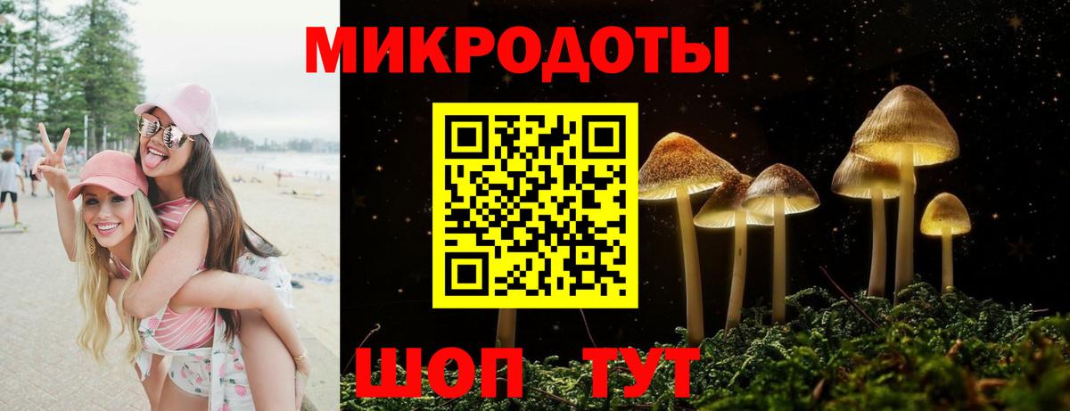 Псилоцибиновые грибы GOLDEN TEACHER  Вход с VPN  Моршанск  Галлюциногенные грибы Psilocybe 